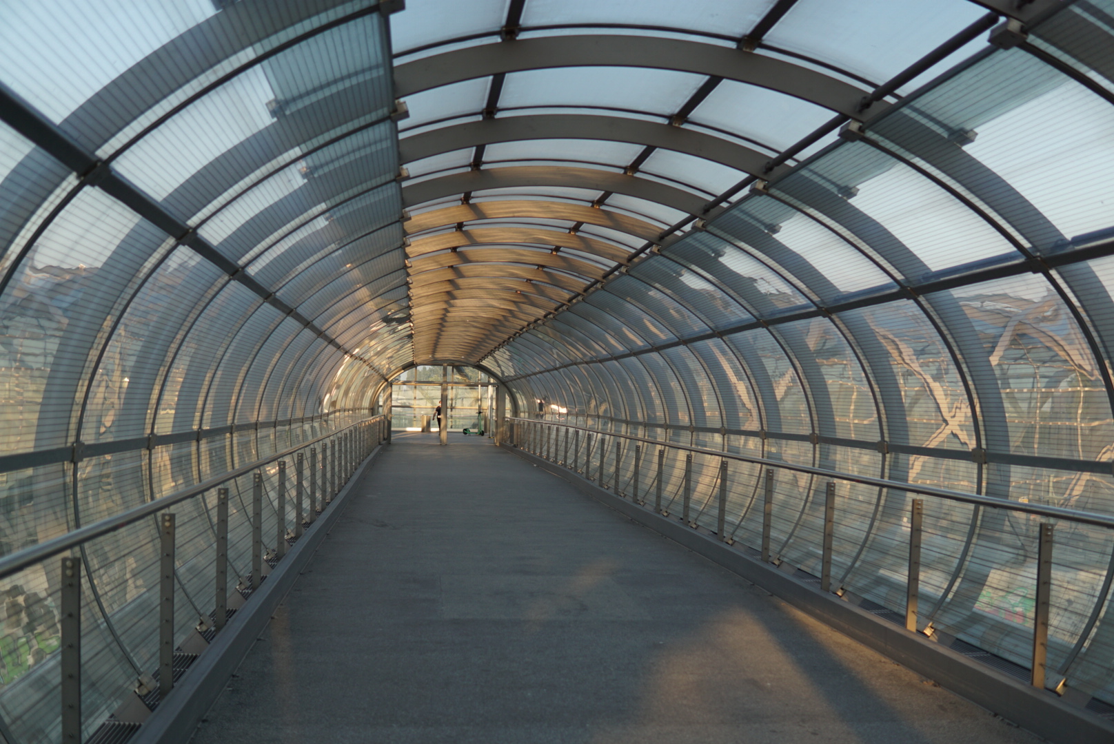 a glass tunnel